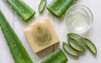 Aloe Vera zeep